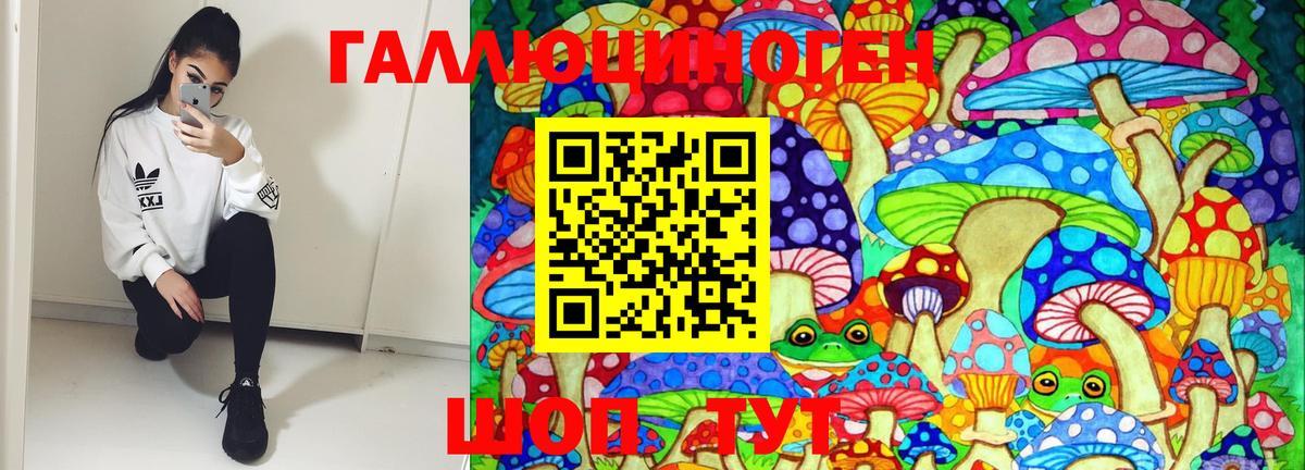 Галлюциногенные грибы мицелий Махачкала