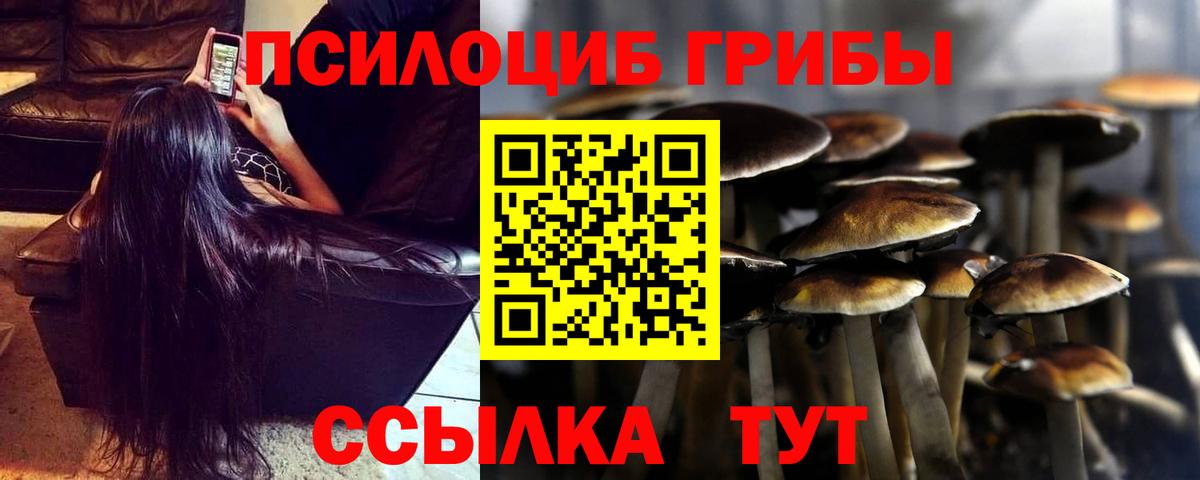 Махачкала  Галлюциногенные грибы прущие грибы  Вход с VPN  Псилоцибиновые грибы мицелий 